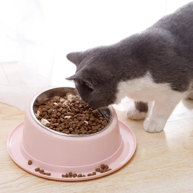 Bol incliné antifourmis pour chat et chien – Gamelle ergonomique en inox – Livraison offerte
