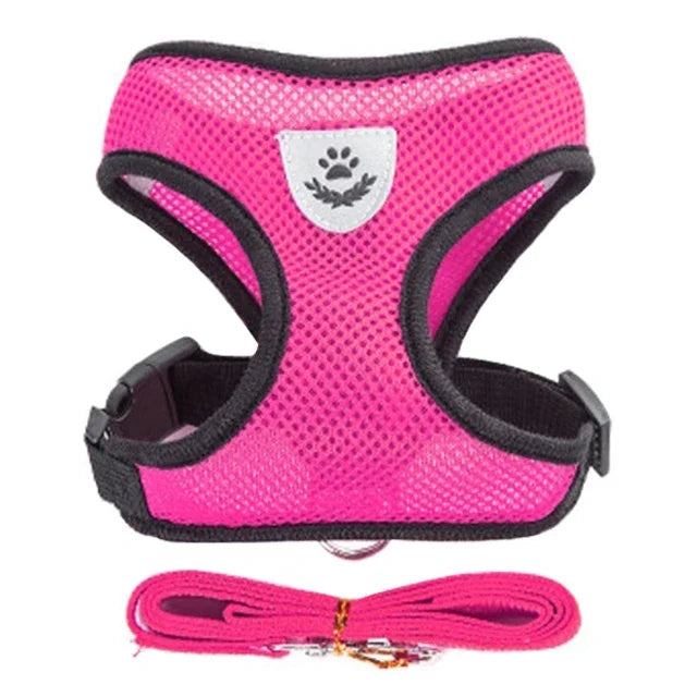 Harnais gilet réglable + laisse (chat & petit chien)