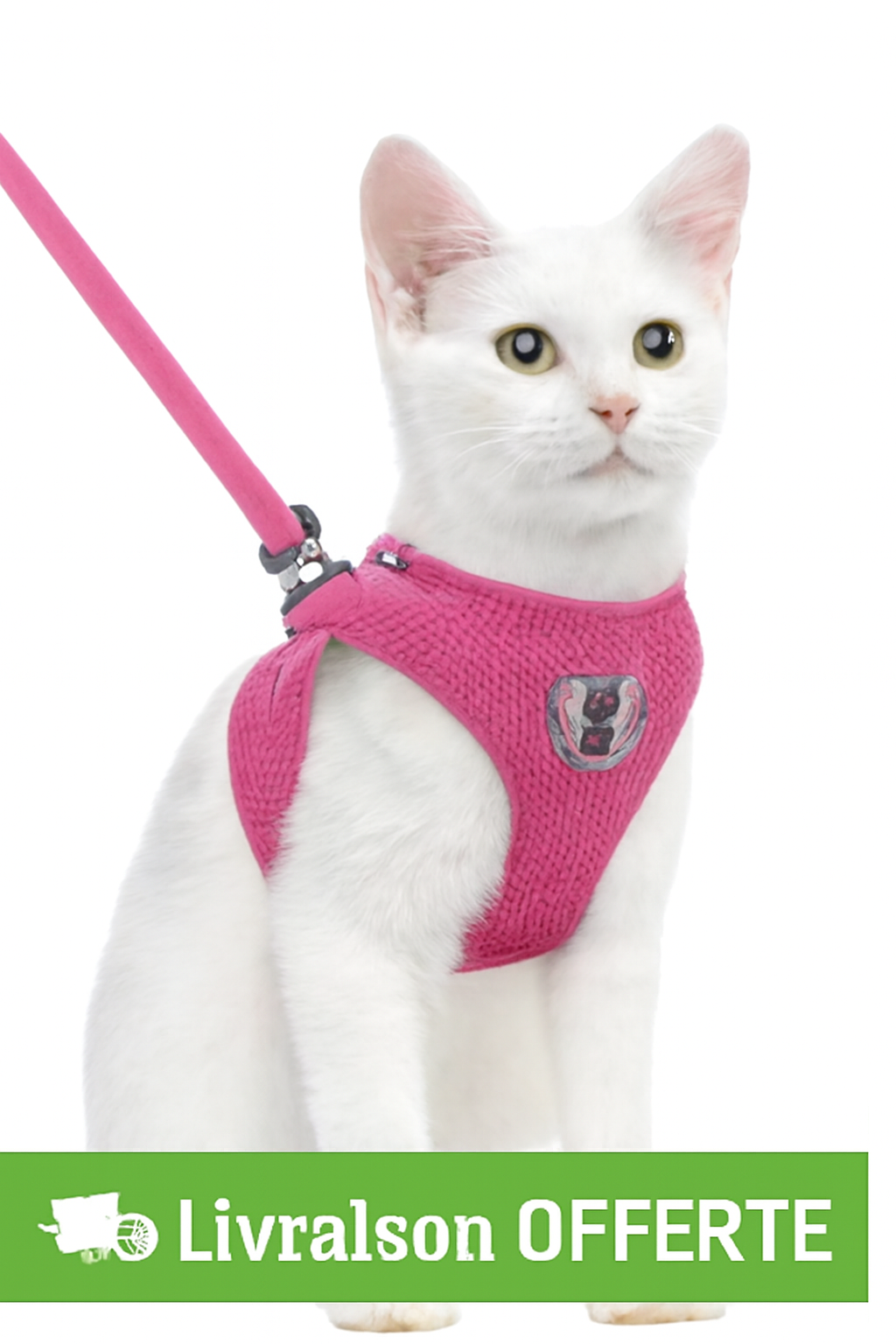 Harnais gilet réglable + laisse (chat & petit chien)