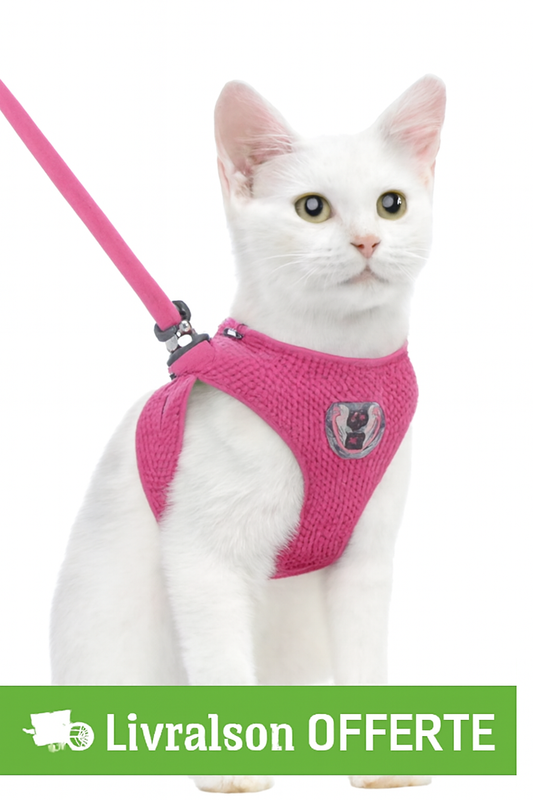 Harnais gilet réglable + laisse (chat & petit chien)