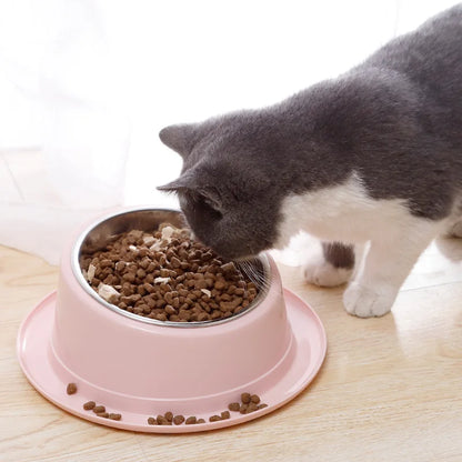 Bol incliné antifourmis pour chat et chien – Gamelle ergonomique en inox – Livraison offerte