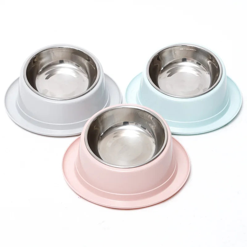 Bol incliné antifourmis pour chat et chien – Gamelle ergonomique en inox – Livraison offerte