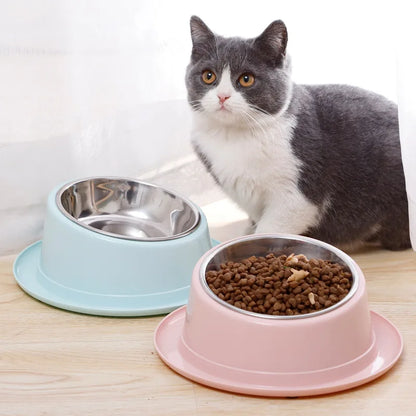 Bol incliné antifourmis en inox pour chat et chien. Gamelle ergonomique, stable et facile à nettoyer. Livraison offerte – Offrez le meilleur à votre animal !