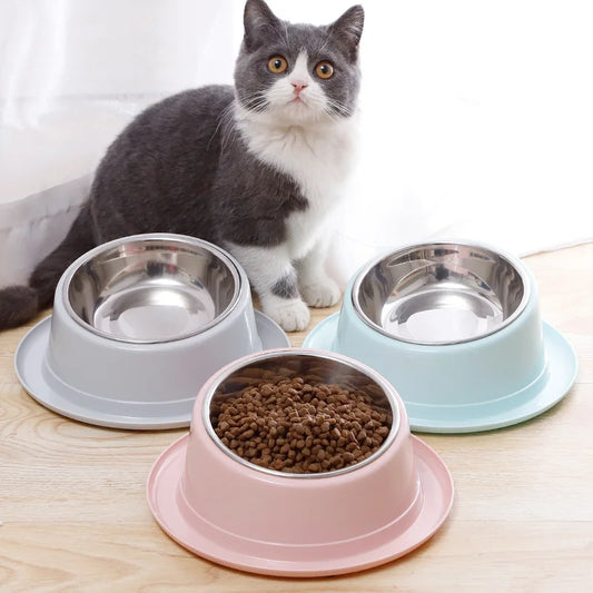 Bol incliné antifourmis pour chat et chien – Gamelle ergonomique en inox – Livraison offerte