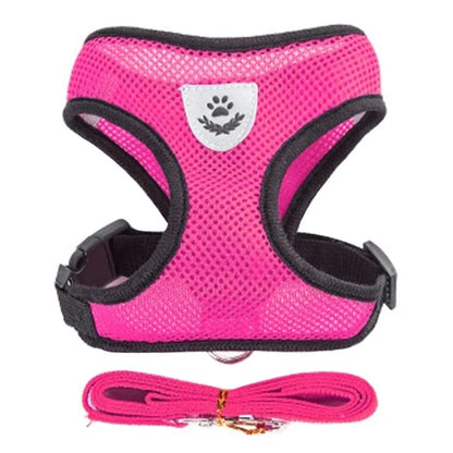 Harnais gilet réglable + laisse (chat & petit chien)
