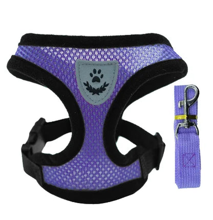 Harnais gilet réglable + laisse (chat & petit chien)