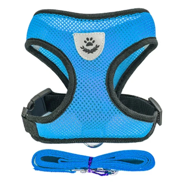 Harnais gilet réglable + laisse (chat & petit chien)
