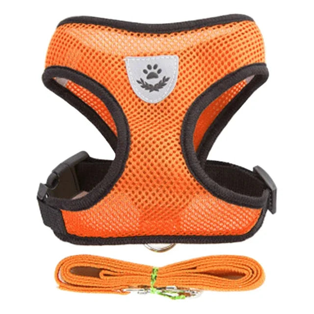 Harnais gilet réglable + laisse (chat & petit chien)