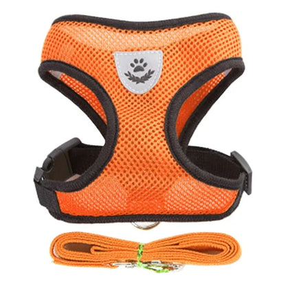 Harnais gilet réglable + laisse (chat & petit chien)