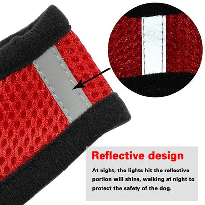 Harnais gilet réglable + laisse (chat & petit chien)