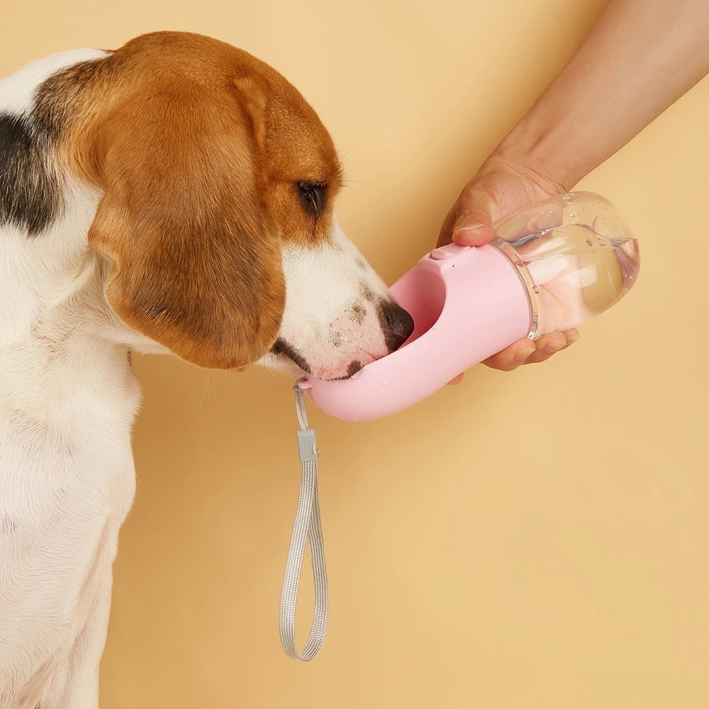 Gourde Distributeur d'eau, anti-fuite, pour les voyages et les promenades menades, pour animaux de compagnie
