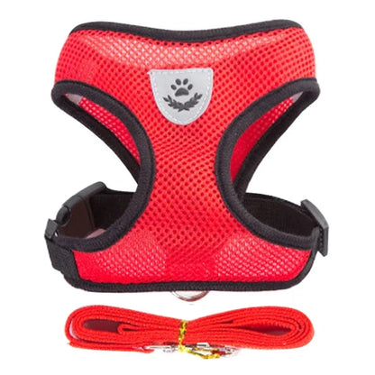 Harnais gilet réglable + laisse (chat & petit chien)