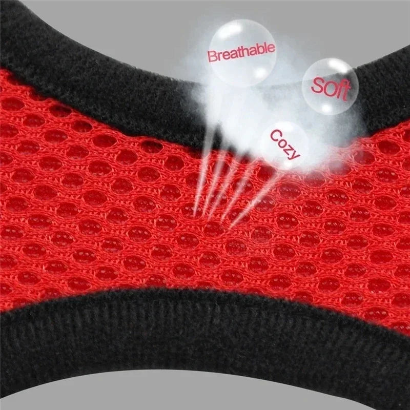 Harnais gilet réglable + laisse (chat & petit chien)