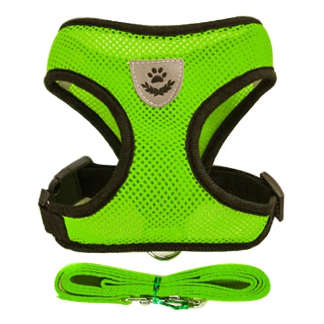 Harnais gilet réglable + laisse (chat & petit chien)
