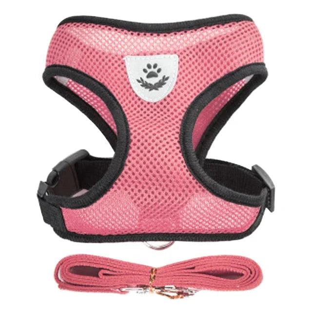 Harnais gilet réglable + laisse (chat & petit chien)