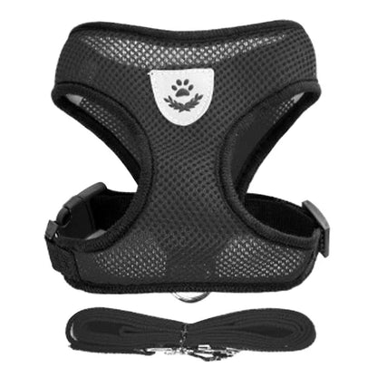 Harnais gilet réglable + laisse (chat & petit chien)