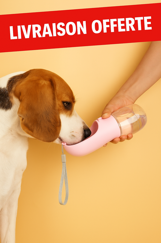 Gourde Distributeur d'eau, anti-fuite, pour les voyages et les promenades menades, pour animaux de compagnie