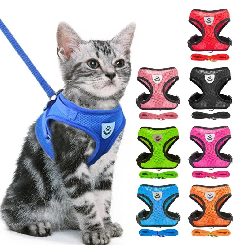 Harnais gilet réglable + laisse (chat & petit chien)