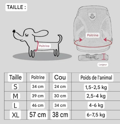 Harnais gilet réglable + laisse (chat & petit chien)