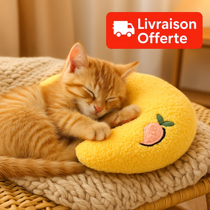 🐾 Coussin Anti-Stress pour Chat – Doux, Moelleux & Apaisant – 2 Modèles Disponibles