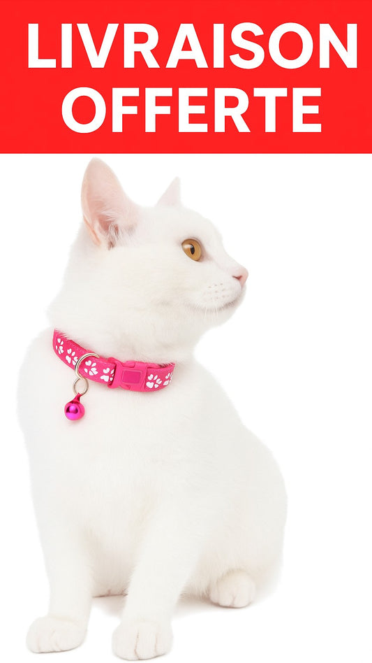 🐾 Collier Tendance pour Chat – Coloré, Réglable & avec Clochette